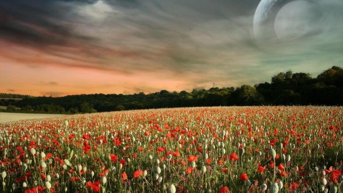 真的有这种又苗条身材又爆炸的么？